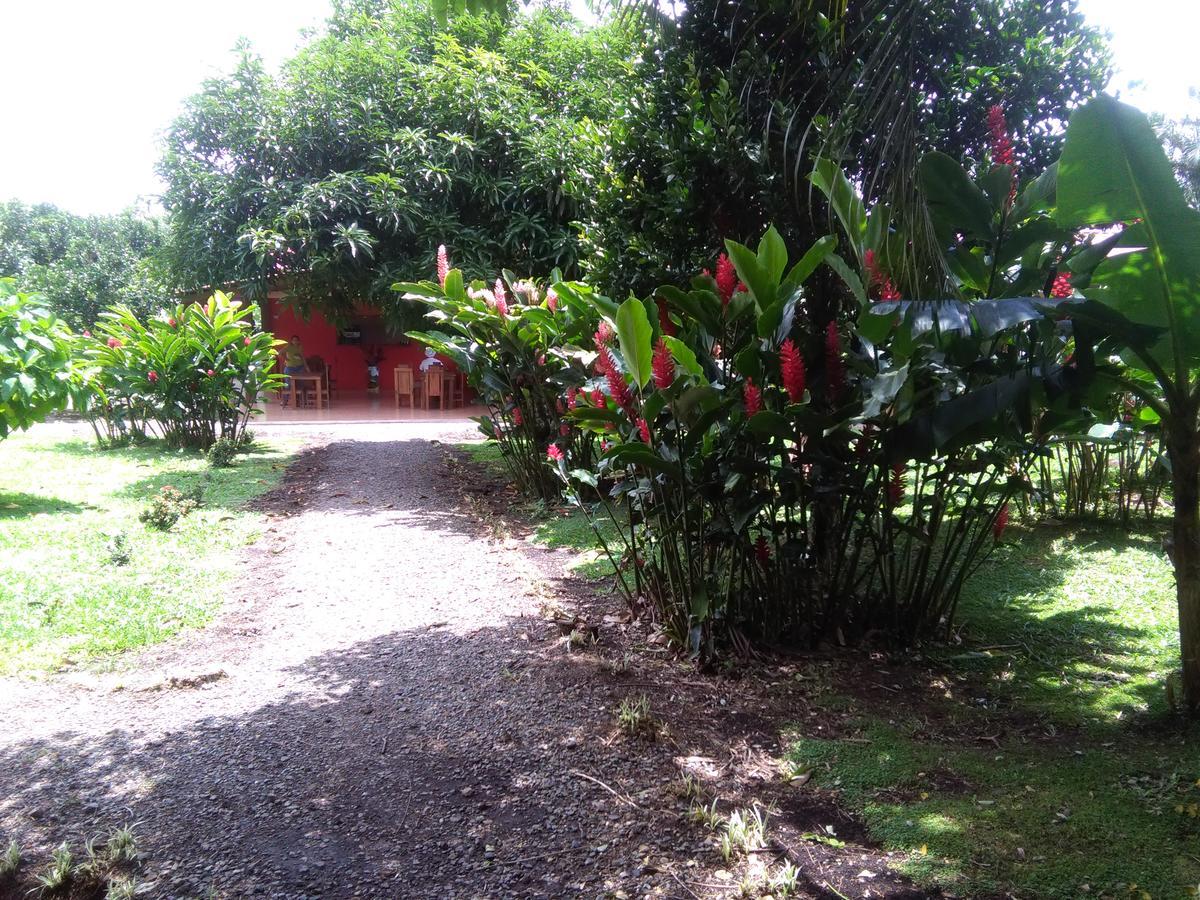 Paraiso Volcano Lodge Guayabo  Exterior photo